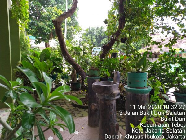 taman II