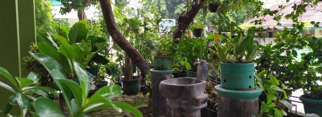 taman II